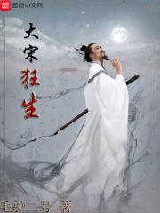 大宋狂士