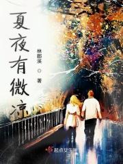 夏夜微凉古诗意思讲解