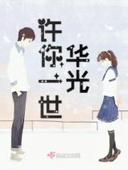 许你一场灯火阑珊免费阅读