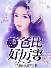陶宝司冥寒最新章免费阅读