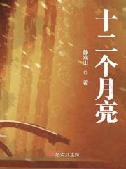 十二个月亮是什么意思