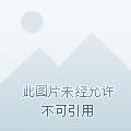 光与影与人生