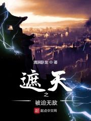 遮天之无敌流