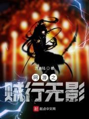 网游之贼行天下百科