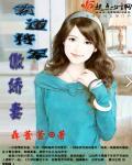 霸道将军宠悍妻
