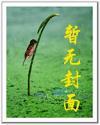 凤啸九天公司