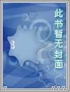 一介书生无路请缨什么意思