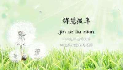 锦瑟寄流年