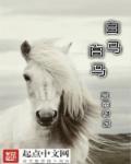 白马白马歌曲