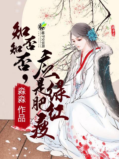 知否知否应是绿肥红瘦歌词