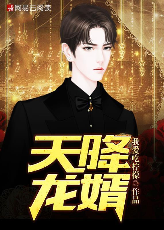 天降少帅