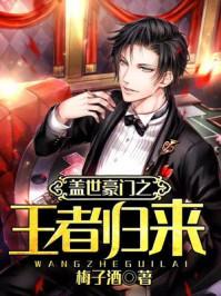 盖世豪婿