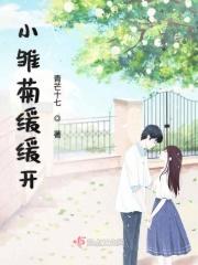 雏菊开花视频