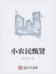 小农民陈西版最新