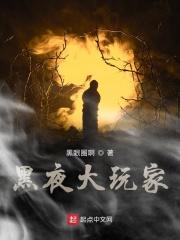黑夜玩家搜狗百科