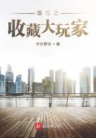 重生之收藏大玩家TXT奇书