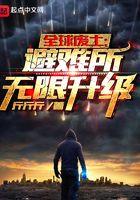 全球废土 避难所无限升级123读